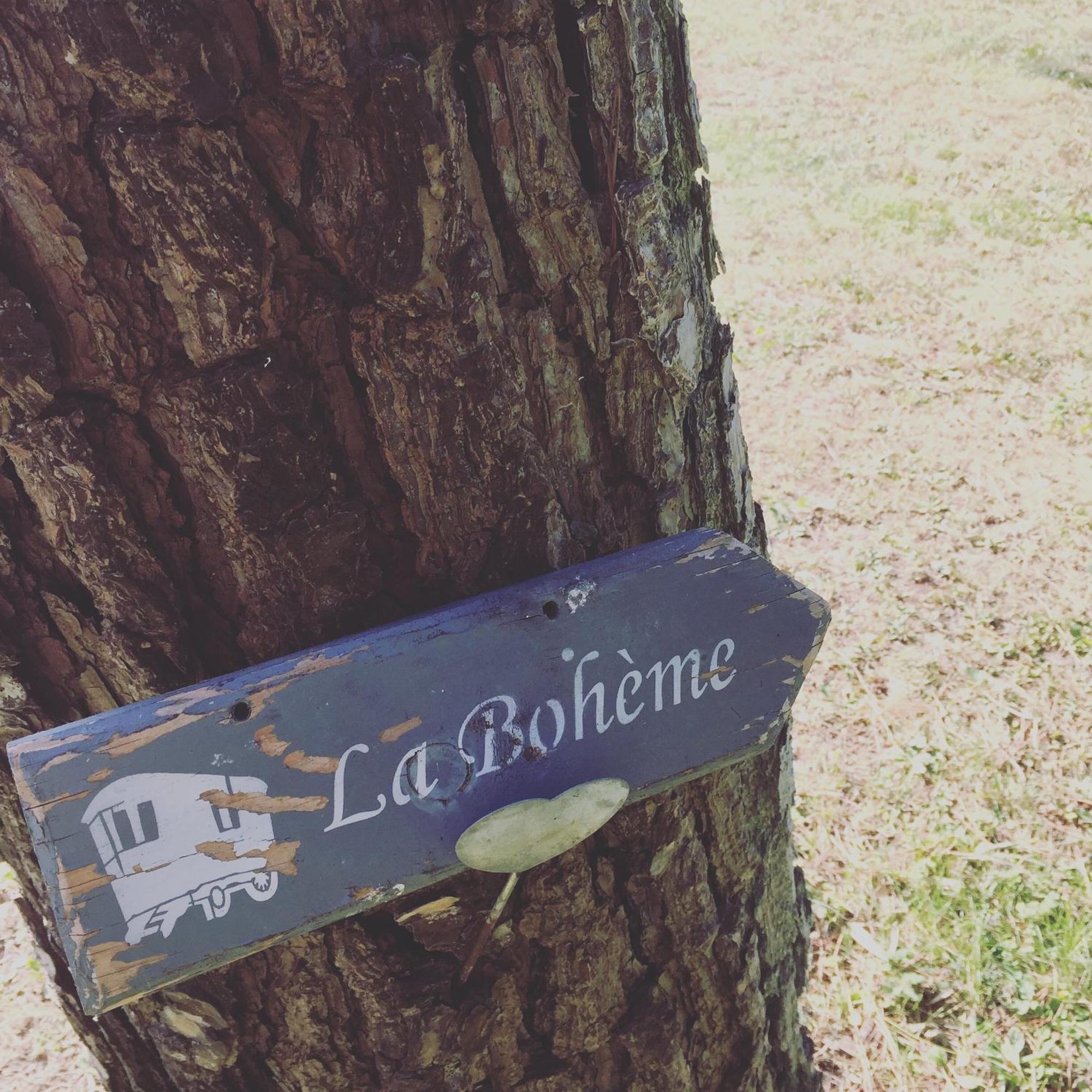 Mas La Pauline Gites De Charme & Roulotte Saint-Rémy-de-Provence الغرفة الصورة